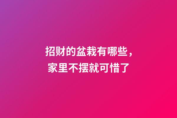 招财的盆栽有哪些， 家里不摆就可惜了